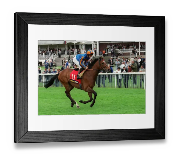 Framed Print : Compatriot Framed Print : Compatriot