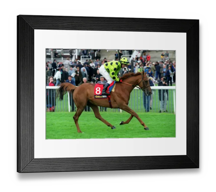 Framed Print : Surprise Encounter Framed Print : Surprise Encounter