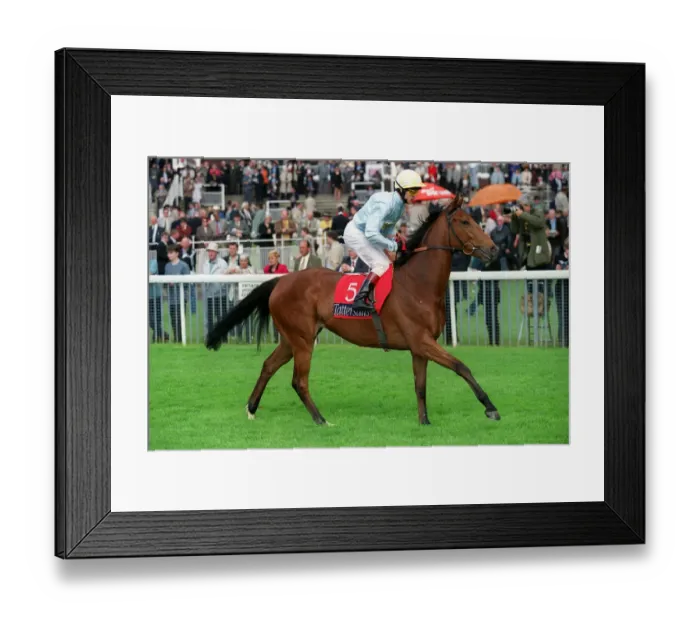 Framed Print : Sea Picture Framed Print : Sea Picture