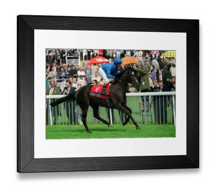 Framed Print : Zahrat Dabai Framed Print : Zahrat Dabai