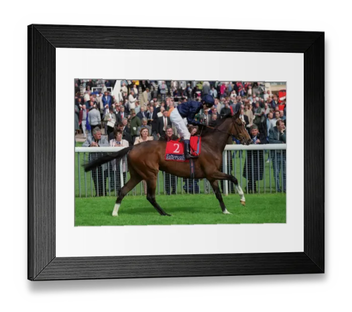 Framed Print : Mother Of Pearl Framed Print : Mother Of Pearl