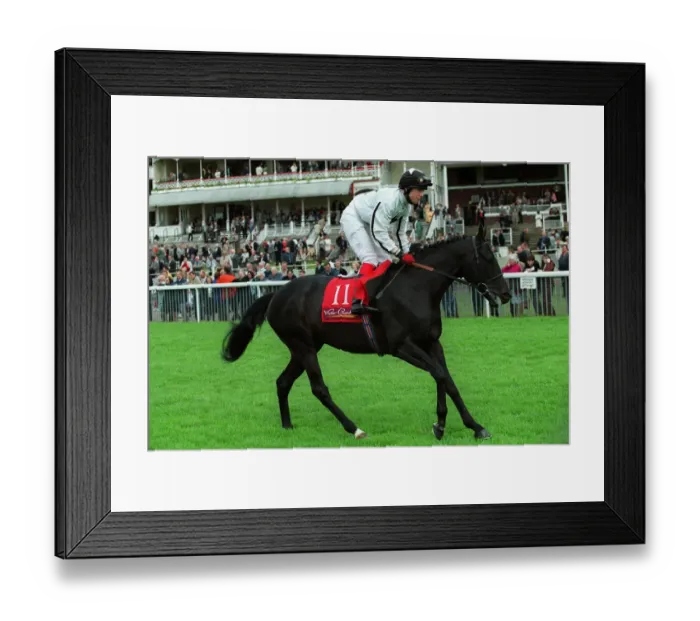 Framed Print : Superior Premium Framed Print : Superior Premium