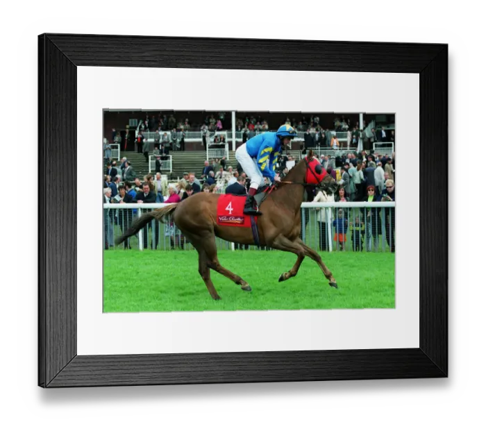 Framed Print : Cretan Gift Framed Print : Cretan Gift