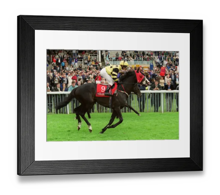 Framed Print : Nigrasine Ridden By C.Lowther 14 May 1999 Date: 14 May 1999 Framed Print : Nigrasine Ridden By C.Lowther 14 May 1999 Date: 14 May 1999