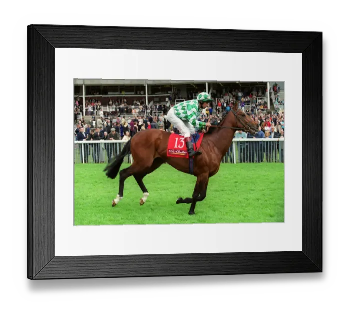 Framed Print : Guinea Hunter Framed Print : Guinea Hunter