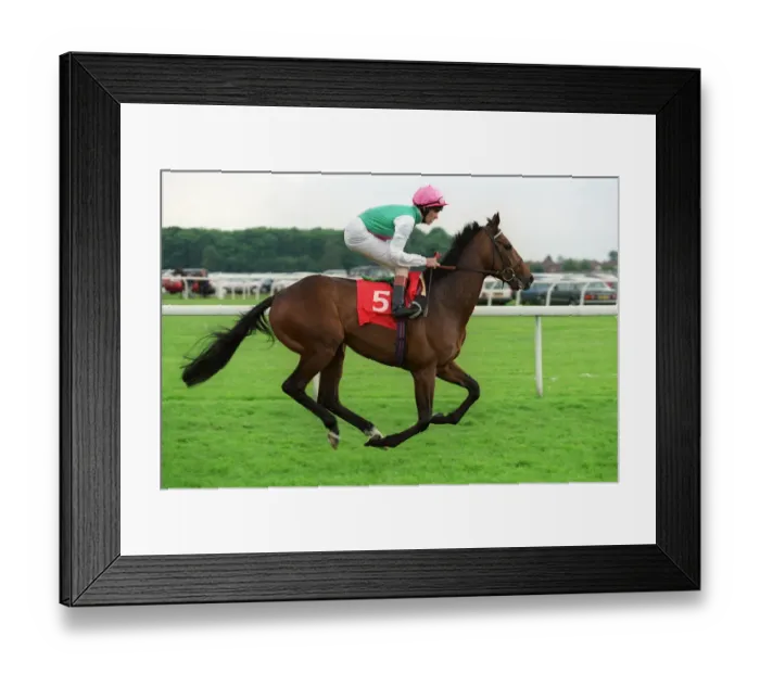Framed Print : Migration Ridden By R.Hughes 14 May 1999 Date: 14 May 1999 Framed Print : Migration Ridden By R.Hughes 14 May 1999 Date: 14 May 1999