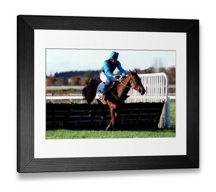 Framed Print : Petersen House