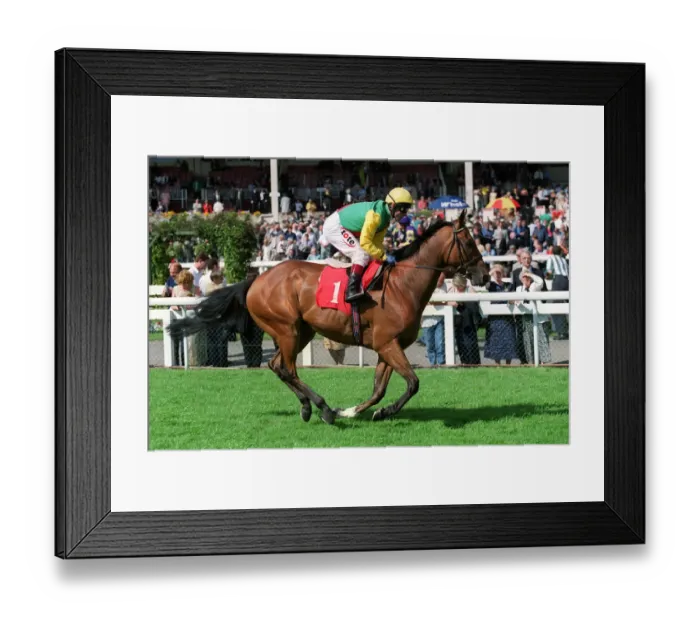 Framed Print : To The Roof Framed Print : To The Roof