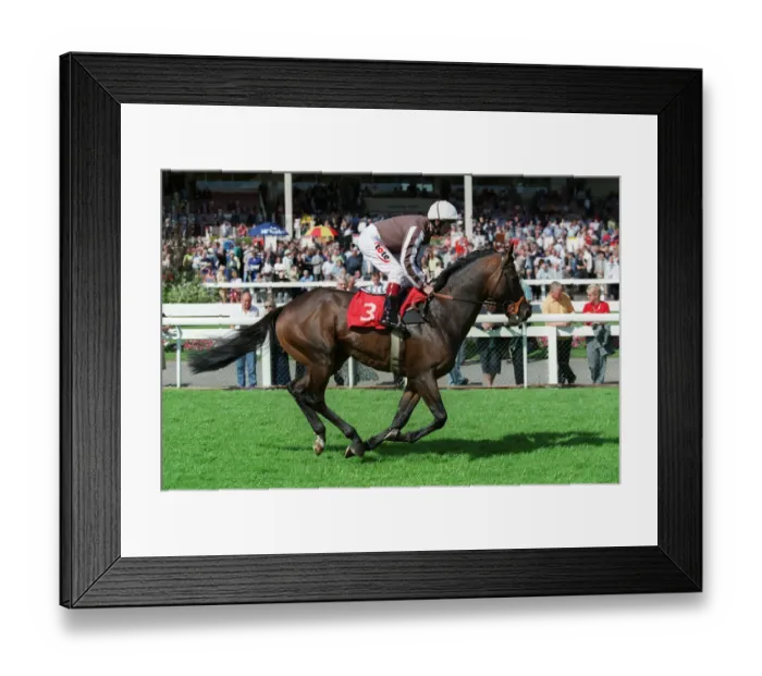 Framed Print : Nothing Daunted Framed Print : Nothing Daunted
