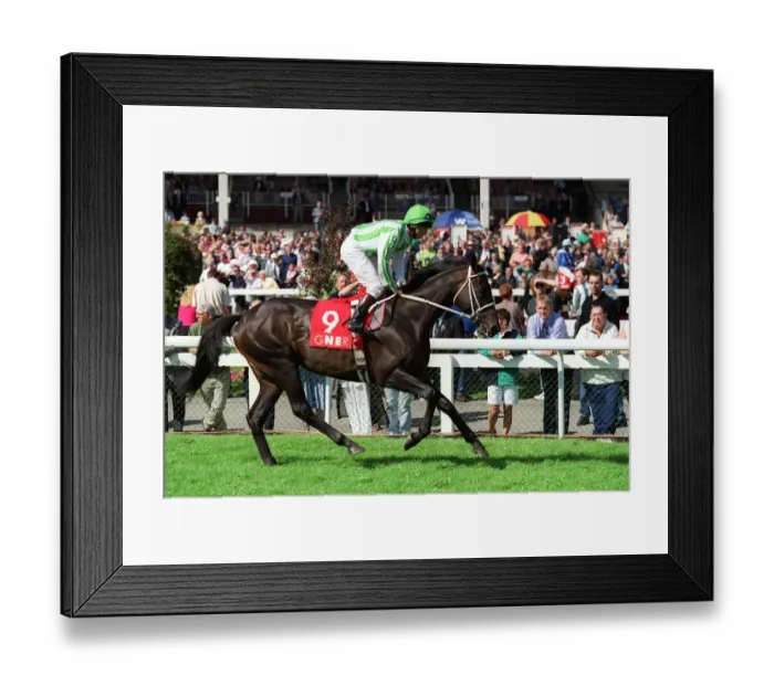Framed Print : Touch N Fly Framed Print : Touch N Fly