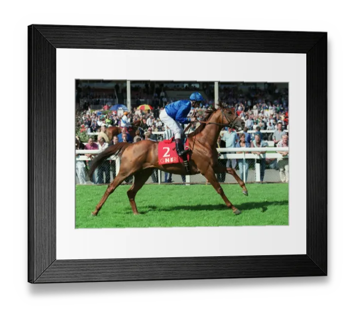 Framed Print : Muhtathir Ridden By Lanfranco Dettori 09 September 1999 Date: 09 September 1999 Framed Print : Muhtathir Ridden By Lanfranco Dettori 09 September 1999 Date: 09 September 1999