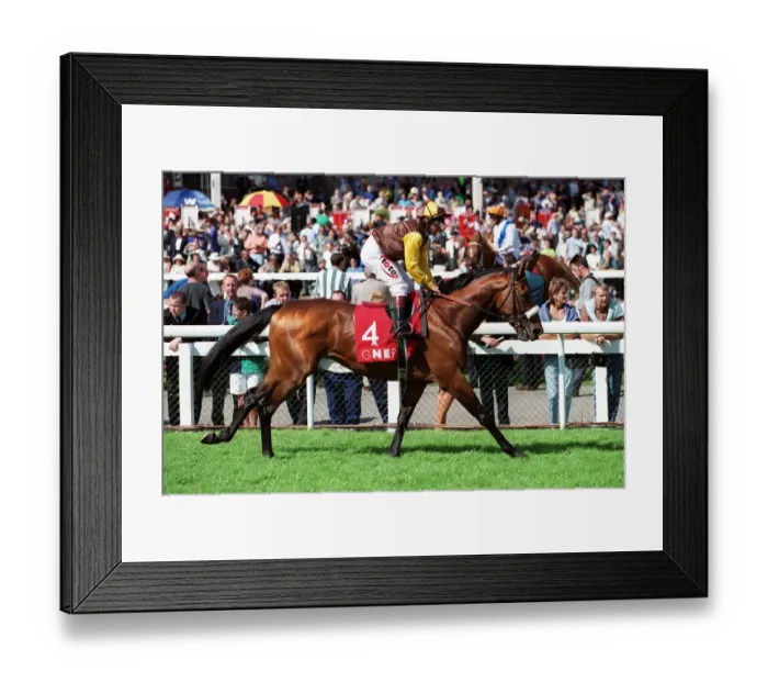 Framed Print : Gulland Ridden By Michael Roberts 09 September 1999 Date: 09 September 1999 Framed Print : Gulland Ridden By Michael Roberts 09 September 1999 Date: 09 September 1999