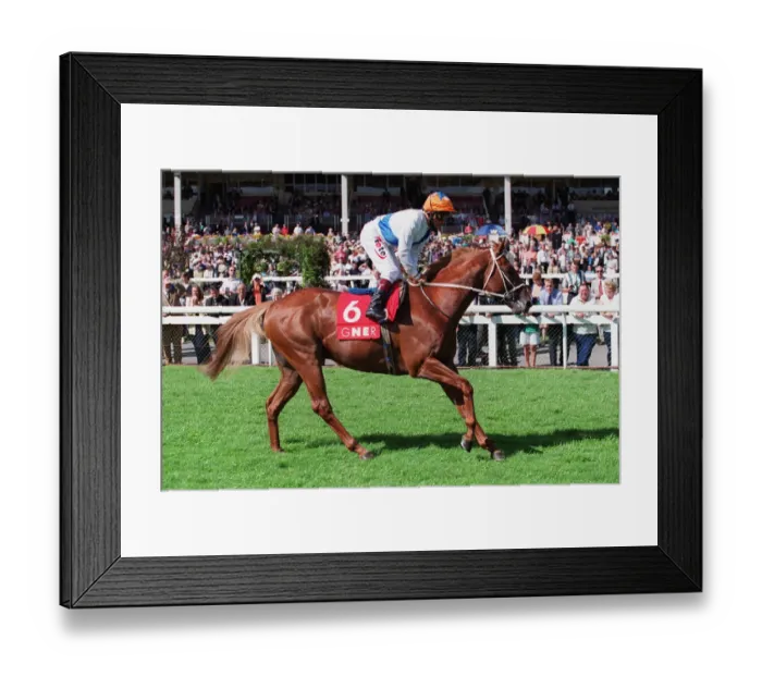Framed Print : Sugarfoot Ridden By Pat Eddery 09 September 1999 Date: 09 September 1999 Framed Print : Sugarfoot Ridden By Pat Eddery 09 September 1999 Date: 09 September 1999