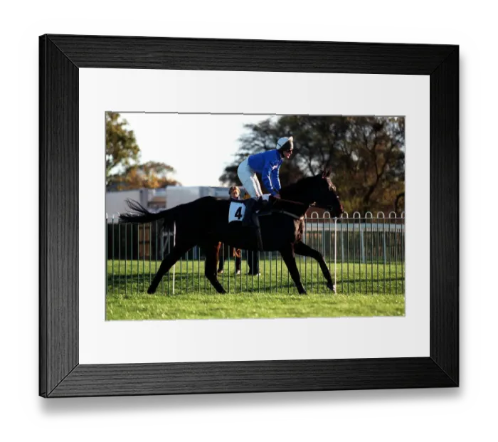 Framed Print : Second Fiddle