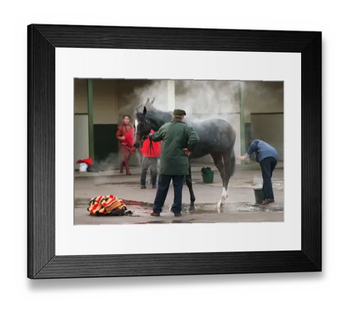 Framed Print : Horse Gets Wash Down Framed Print : Horse Gets Wash Down