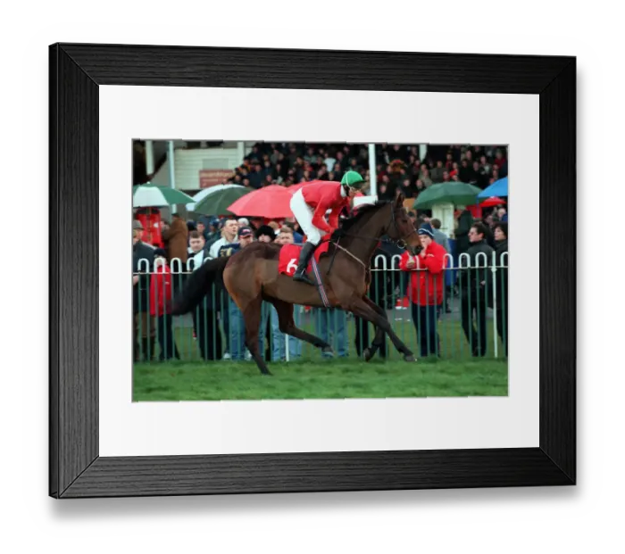 Framed Print : Aghawadda Gold Framed Print : Aghawadda Gold