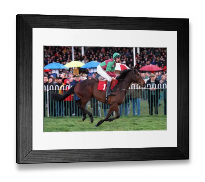 Framed Print : Majadou Ridden By C.Maude 05 January 2000 Date: 05 January 2000 Framed Print : Majadou Ridden By C.Maude 05 January 2000 Date: 05 January 2000