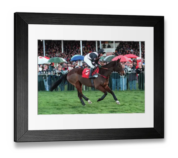 Framed Print : Nordance Prince