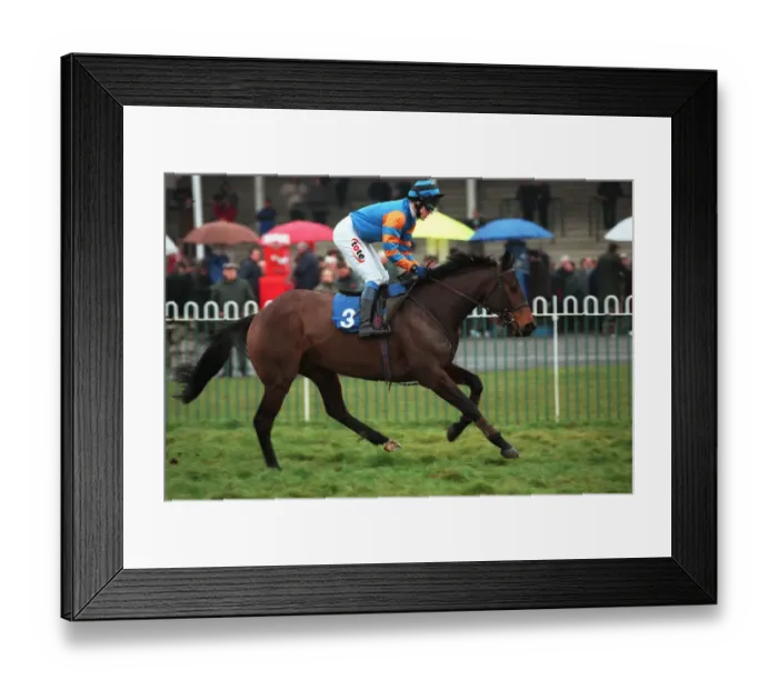 Framed Print : Flat Top Ridden By Tony Mccoy 18 January 2000 Date: 18 January 2000 Framed Print : Flat Top Ridden By Tony Mccoy 18 January 2000 Date: 18 January 2000