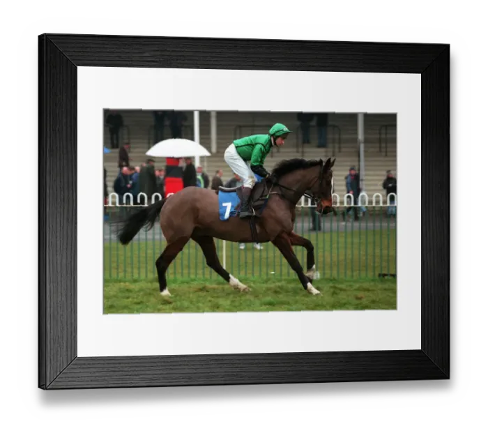 Framed Print : Veredarius Framed Print : Veredarius