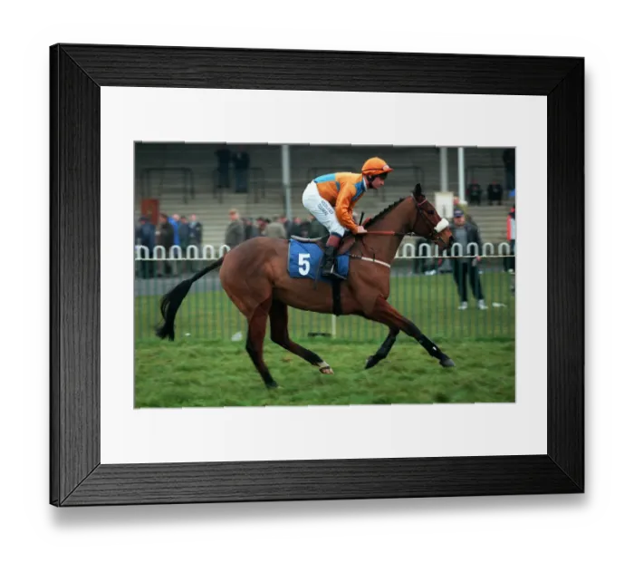 Framed Print : Get The Point Framed Print : Get The Point