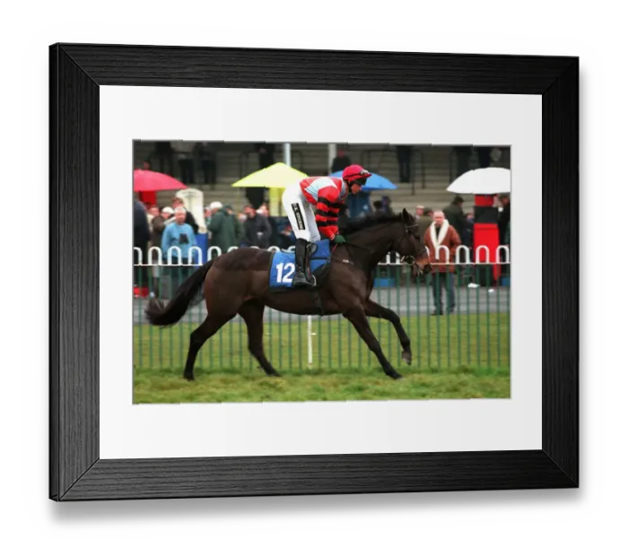 Framed Print : Just Lizzie