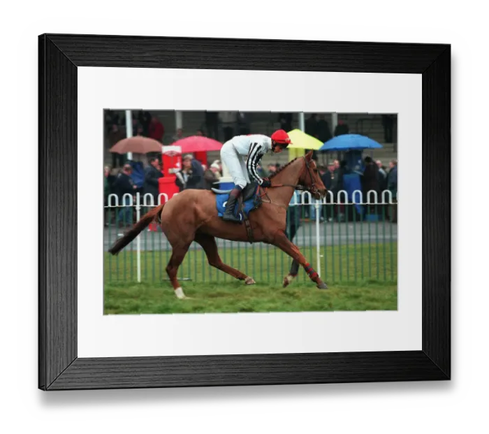 Framed Print : Toshiba Talk