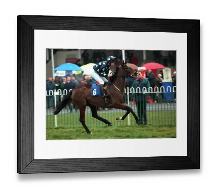 Framed Print : Smart Spirit Framed Print : Smart Spirit