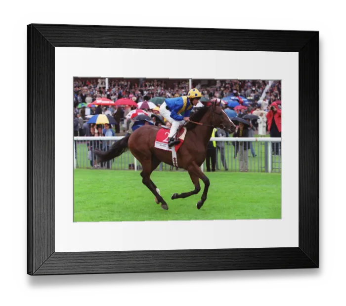 Framed Print : Kings Best Framed Print : Kings Best