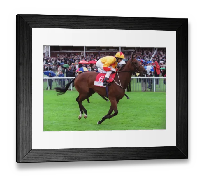 Framed Print : Linden Grace Framed Print : Linden Grace
