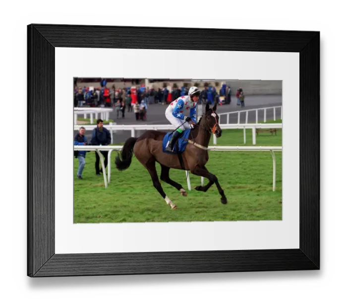 Framed Print : Runner Bean Framed Print : Runner Bean