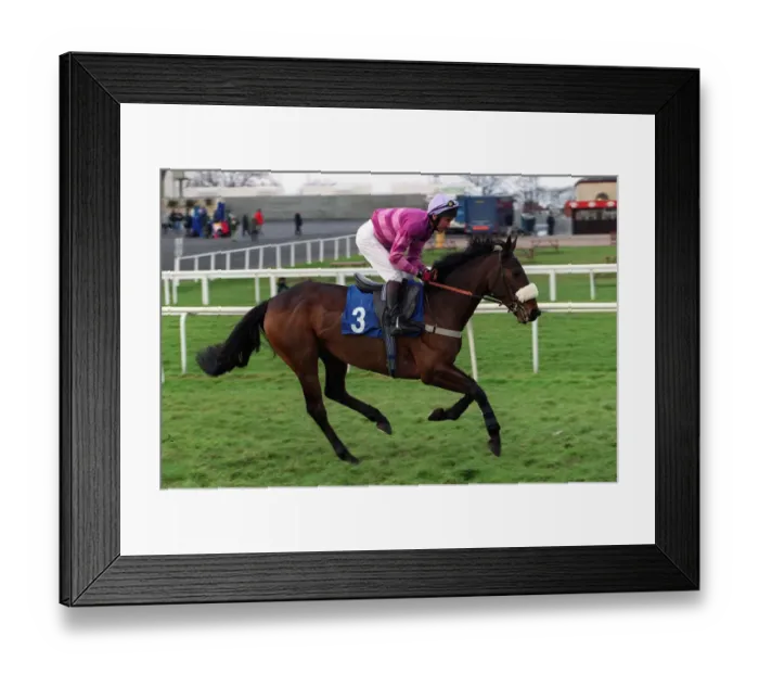 Framed Print : Mr Splodge Framed Print : Mr Splodge