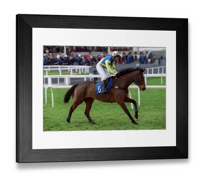 Framed Print : Tigerburningbright Framed Print : Tigerburningbright