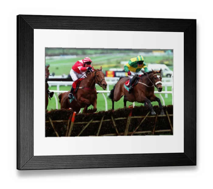 Framed Print : Sausalito Bay & Best Mate