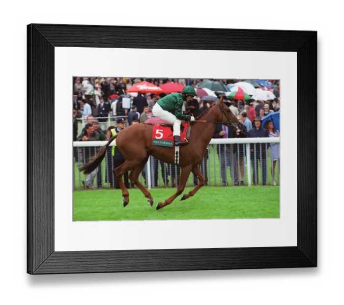 Framed Print : Generosity Framed Print : Generosity