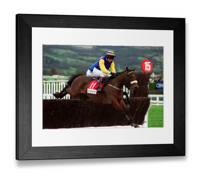 Framed Print : Frozen Groom Framed Print : Frozen Groom