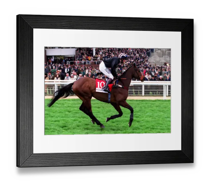 Framed Print : Wakeel Ridden By Carl Llewellyn 14 March 2000 Date: 14 March 2000 Framed Print : Wakeel Ridden By Carl Llewellyn 14 March 2000 Date: 14 March 2000
