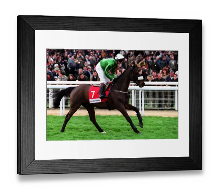 Framed Print : Slaney Native Framed Print : Slaney Native