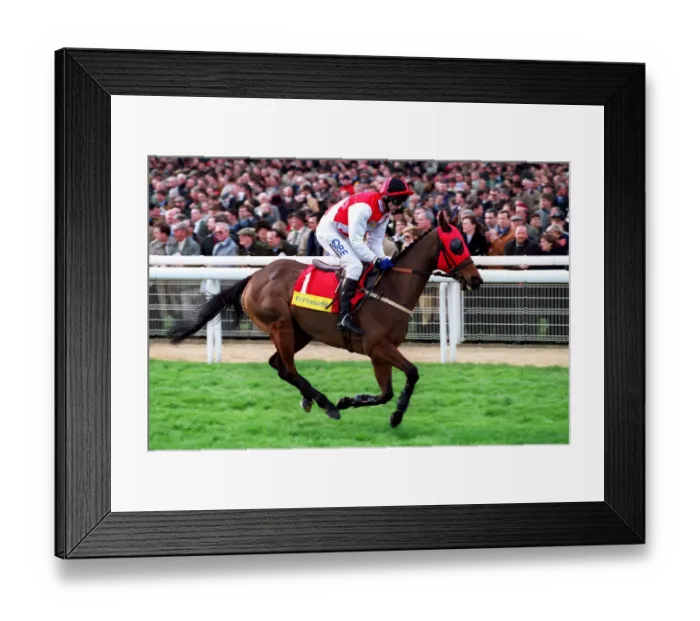 Framed Print : Alka International Framed Print : Alka International