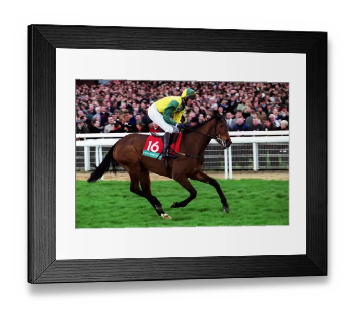 Framed Print : Baclama Ridden By Roderick Green 14 March 2000 Date: 14 March 2000 Framed Print : Baclama Ridden By Roderick Green 14 March 2000 Date: 14 March 2000