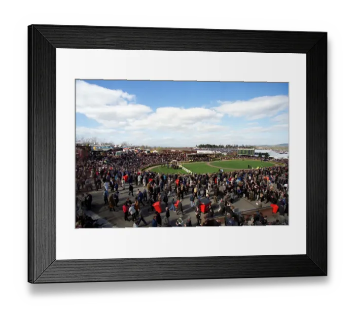 Framed Print : Parade Ring Cheltenham Framed Print : Parade Ring Cheltenham