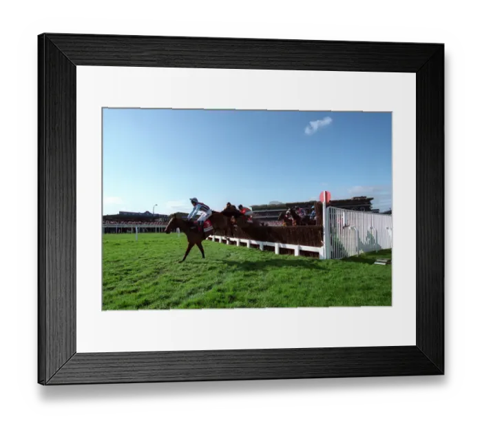 Framed Print : The Queen Mother Champion
