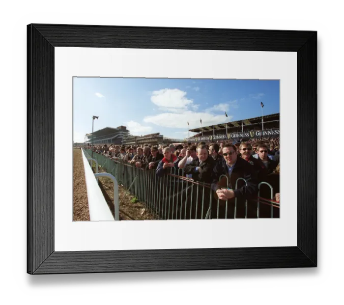 Framed Print : Cheltenham Crowd Await Race Framed Print : Cheltenham Crowd Await Race