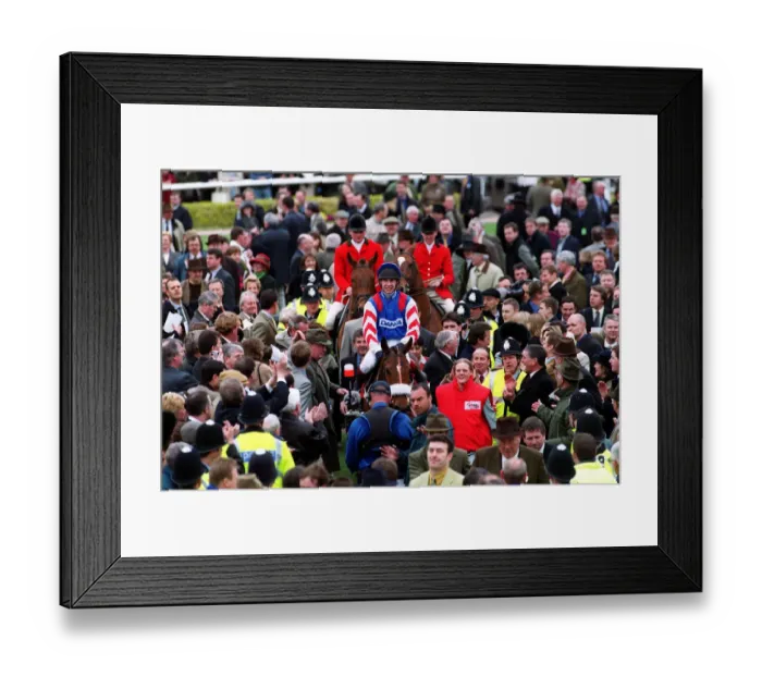 Framed Print : Looks Like Trouble Framed Print : Looks Like Trouble