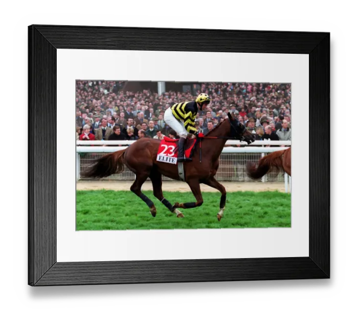 Framed Print : Wild Arms Ridden By F.M.Berry 14 March 2000 Date: 14 March 2000 Framed Print : Wild Arms Ridden By F.M.Berry 14 March 2000 Date: 14 March 2000