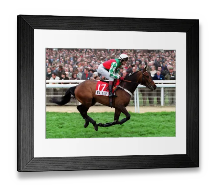 Framed Print : Mister Banjo