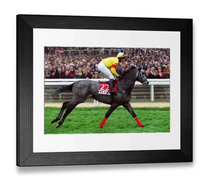 Framed Print : Valiramix Ridden By Roderick Green 14 March 2000 Date: 14 March 2000 Framed Print : Valiramix Ridden By Roderick Green 14 March 2000 Date: 14 March 2000