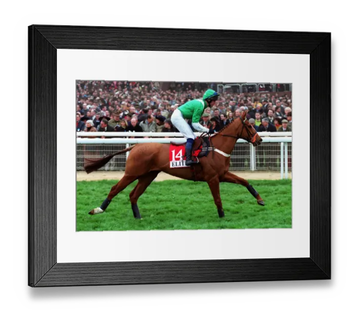 Framed Print : Ledham Ridden By N.Fehily 14 March 2000 Date: 14 March 2000 Framed Print : Ledham Ridden By N.Fehily 14 March 2000 Date: 14 March 2000
