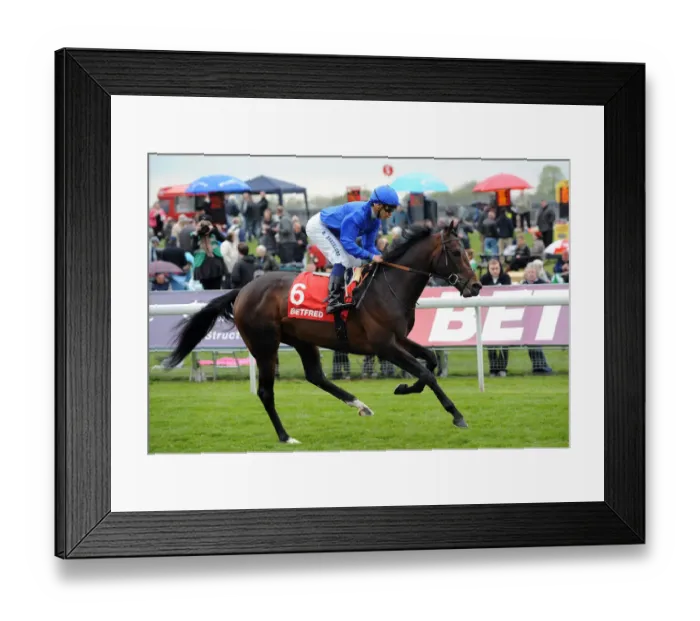 Framed Print : Mandaean Ridden By Mickael Barzalona Dante Festival Framed Print : Mandaean Ridden By Mickael Barzalona Dante Festival