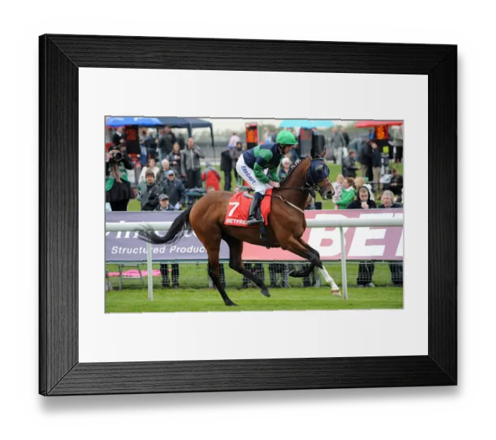 Framed Print : Ptolemaic Ridden By Tom Eaves Dante Festival, York Racecourse York Racecourse Framed Print : Ptolemaic Ridden By Tom Eaves Dante Festival, York Racecourse York Racecourse